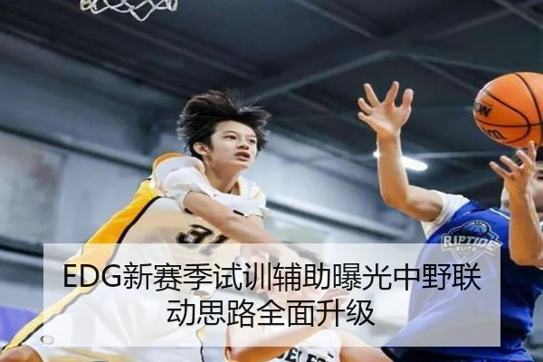 EDG新赛季试训辅助曝光中野联动思路全面升级